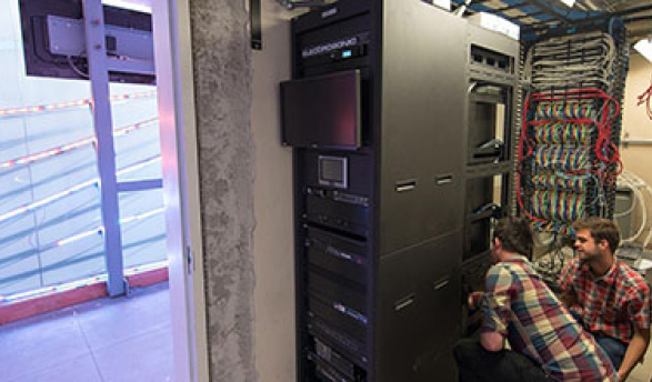 information technology workers