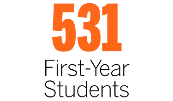 531 first-year students