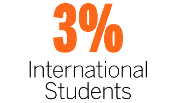 3% international students