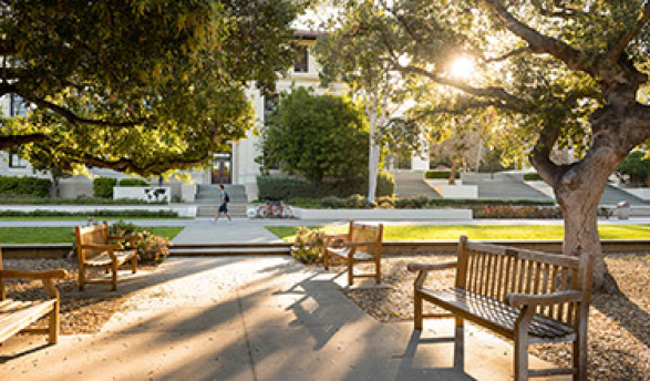 The Oxy quad at sunset