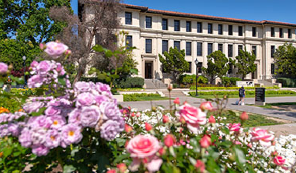 Image: working-oxy_387x220.jpg