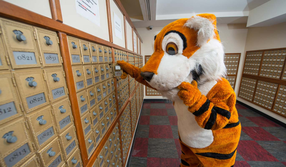Oswald the Tiger checks his mail in Oxy's mailroom