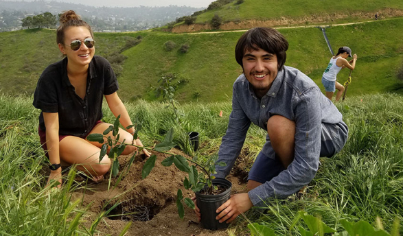 Students planting in the earth