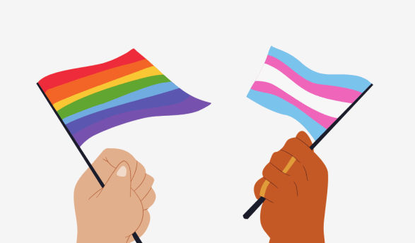 two hands holding pride symbols: a hand on the left holding the traditional six-stripe rainbow flag, and a hand on the right holding the light blue, pink, and white transgender pride flag