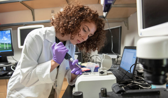 Eva Jahanshir ’19 is working over the summer at City of Hope