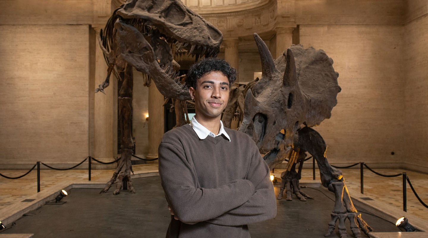 A male Oxy student in a museum in front of dinosaur skeletons