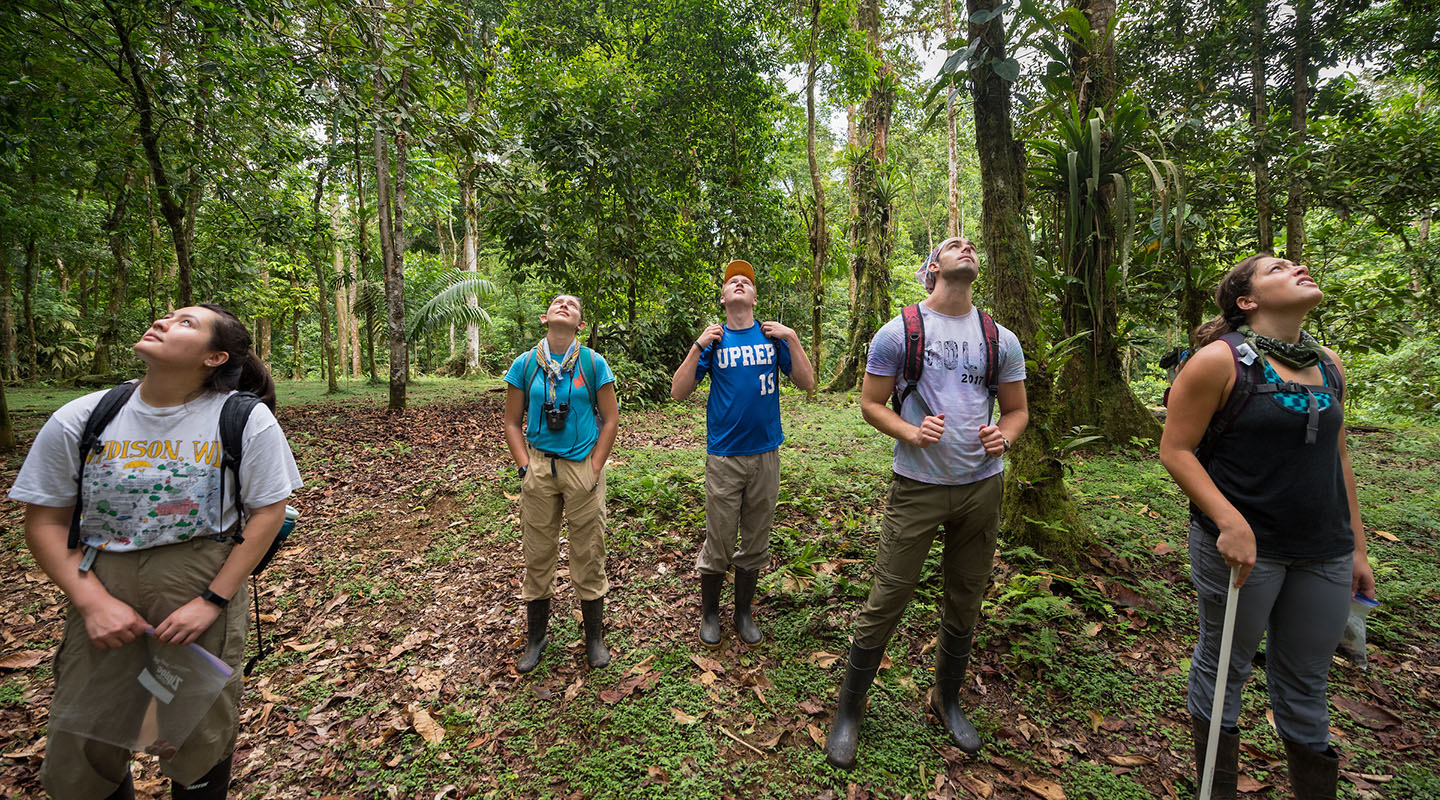Occidental College students looking up at the sky amid the jungle of Costa Rica