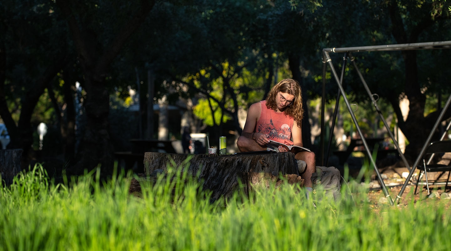 a student on an outdoor bench reading with green grass