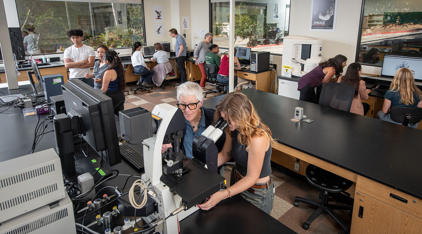 An Occidental College biology lab with students and professors working together energetically