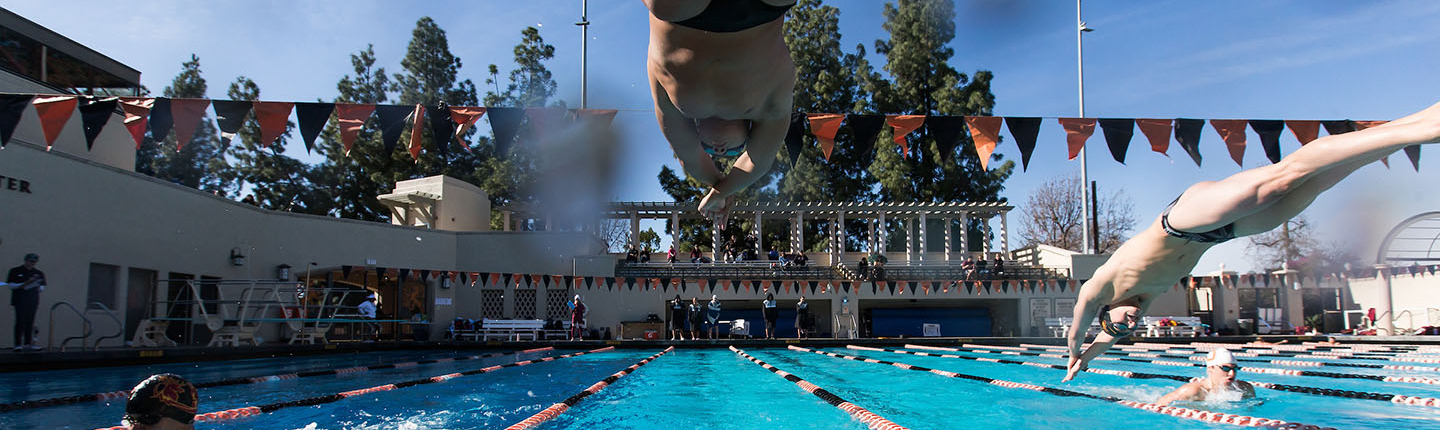 a student dives into DeMandel Aquatic Center pool