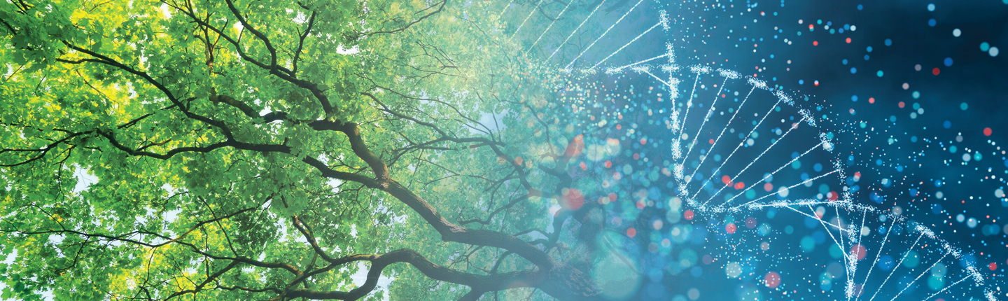 the underside of a large tree merging into an image of a DNA double helix, illustrating the biology department at Occidental College (Oxy).