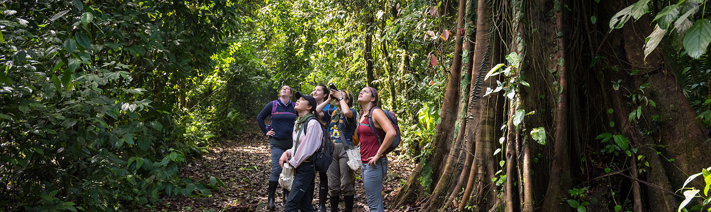 Occidental College students standing together in the jungle of Costa Rica, surveying the lush environment