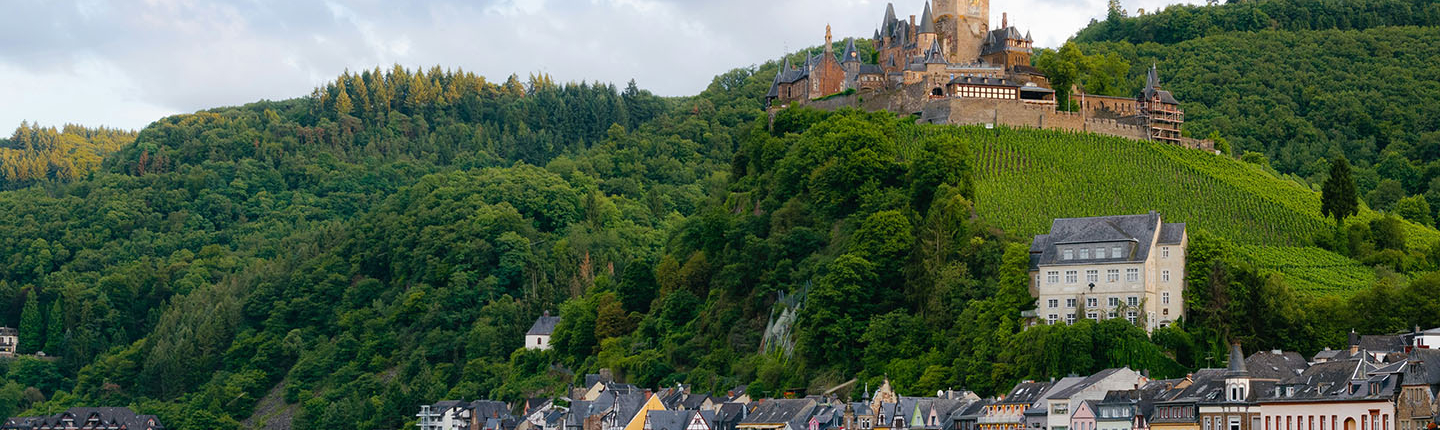 a beautiful hillside topped with a European castle next to a river