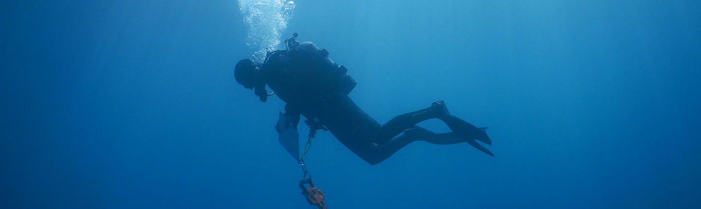 An Occidental College diver looking for marine specimens deep in the ocean