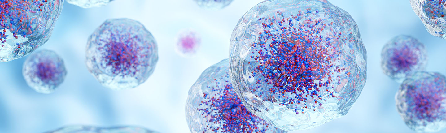 3D illustration of biological cells, likely stem cells, floating in a light blue background