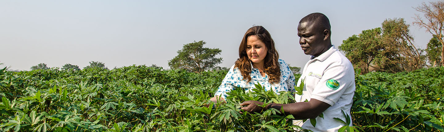 Occidental College alumna Laura Boykin Okalebo '96 in a field of health cassava plants in East Africa