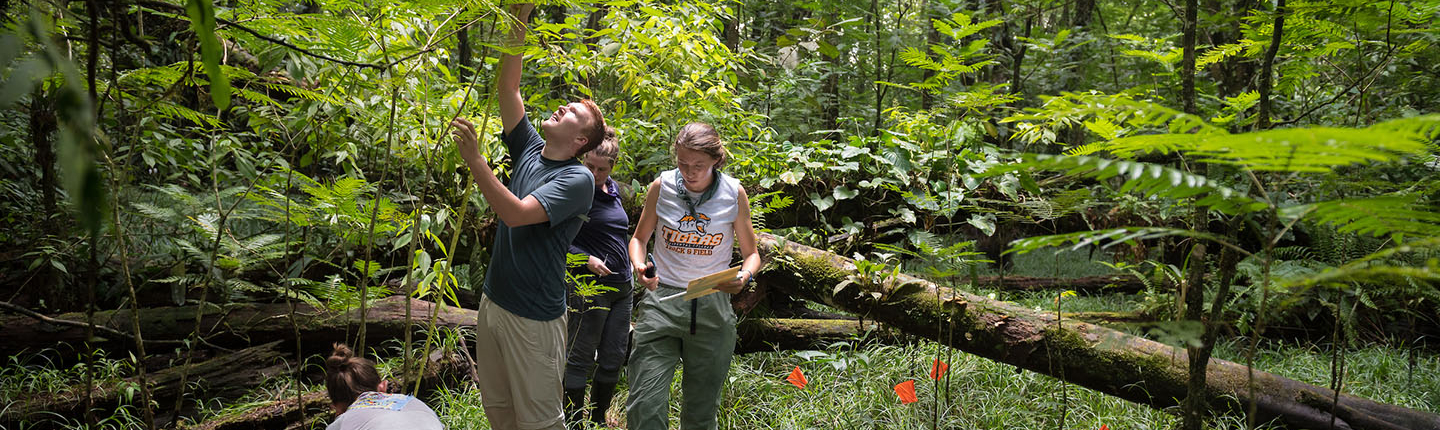 Oxy students gathering research data in the jungle