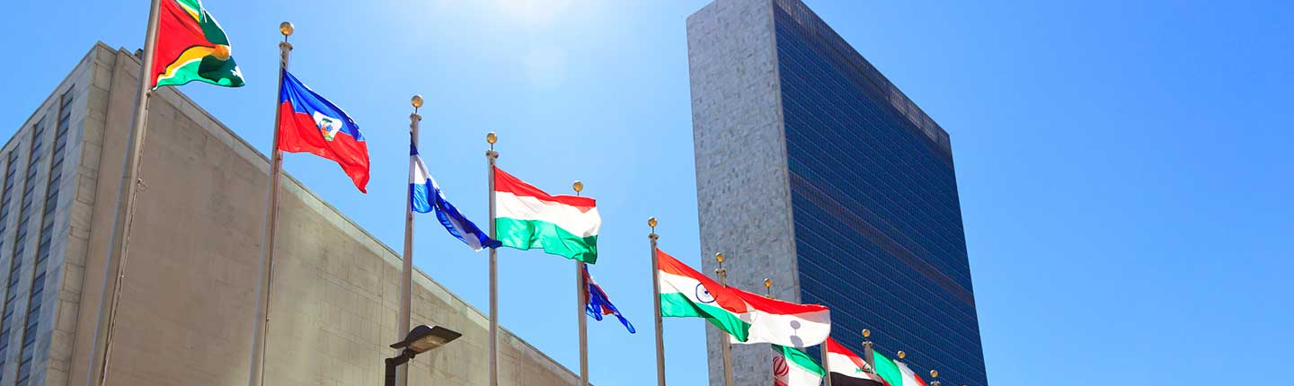Building with a row of international flags