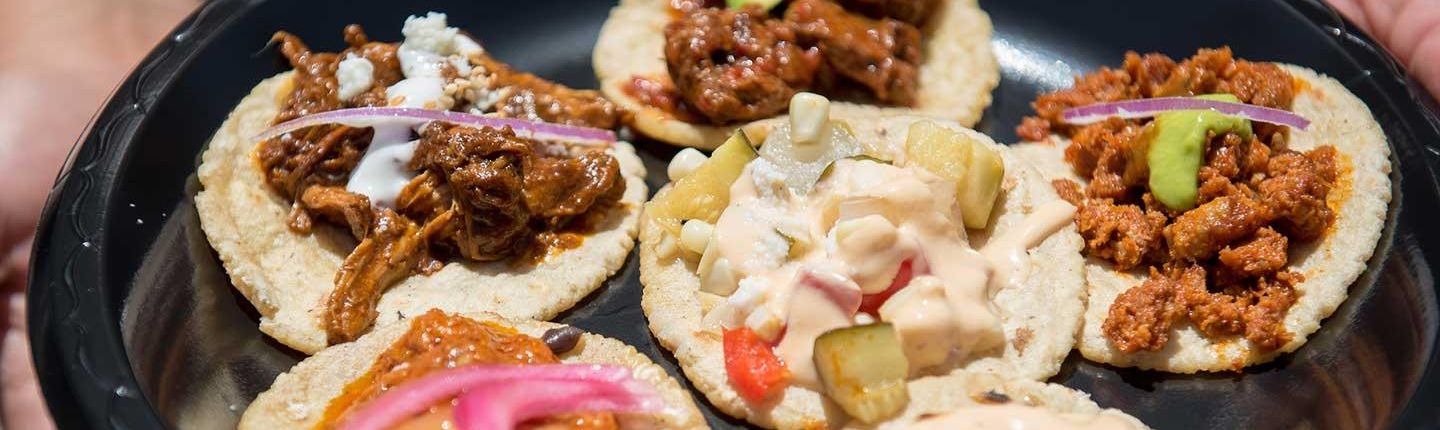 A plate of delicious assorted tacos
