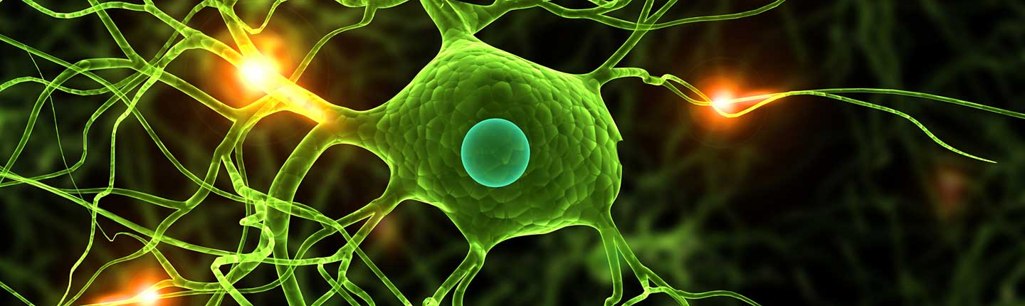 visualization of a biological neuron, a fundamental nerve cell in the brain