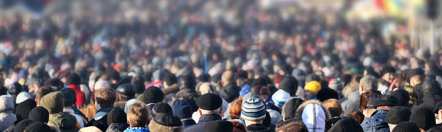 rear view of a large crowd of people viewing international flags