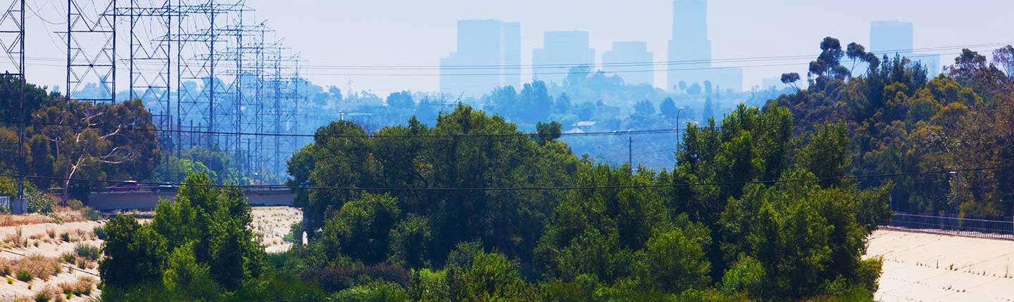 a lush, green section of the Los Angeles River with the downtown Los Angeles skyline visible in the hazy background