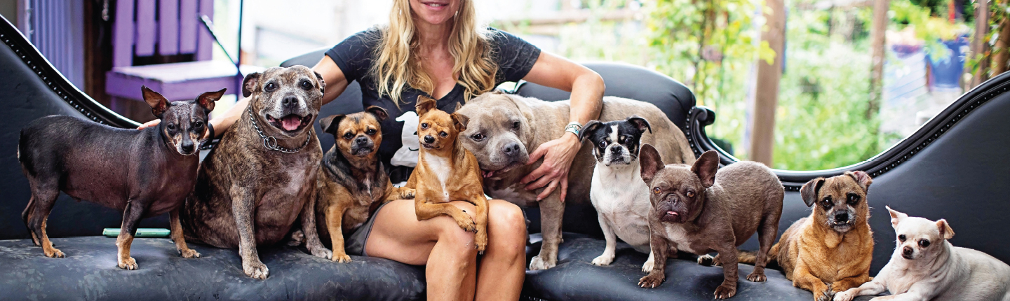 Luvable Dog Rescue