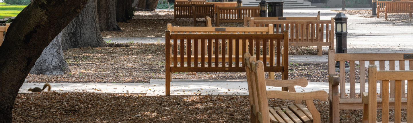Academic Quad, Fall 2020