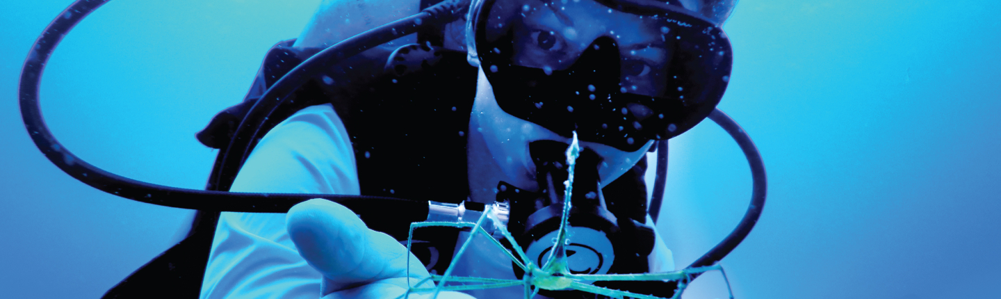 Richter Research, Hannah Hoefs