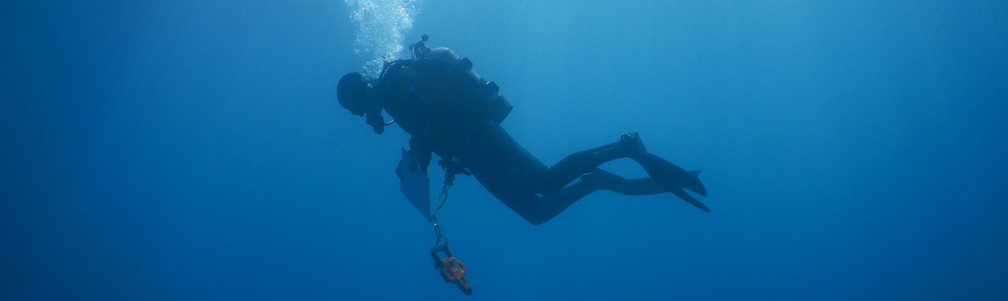 Dan Pondella diving at Palos Verdes