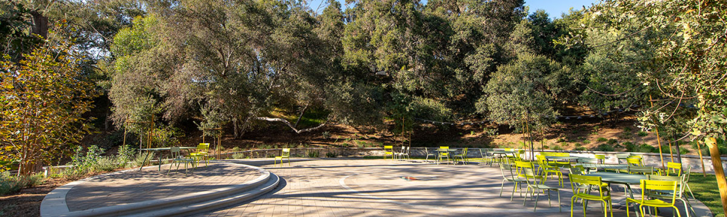 Open space at Sycamore Glen