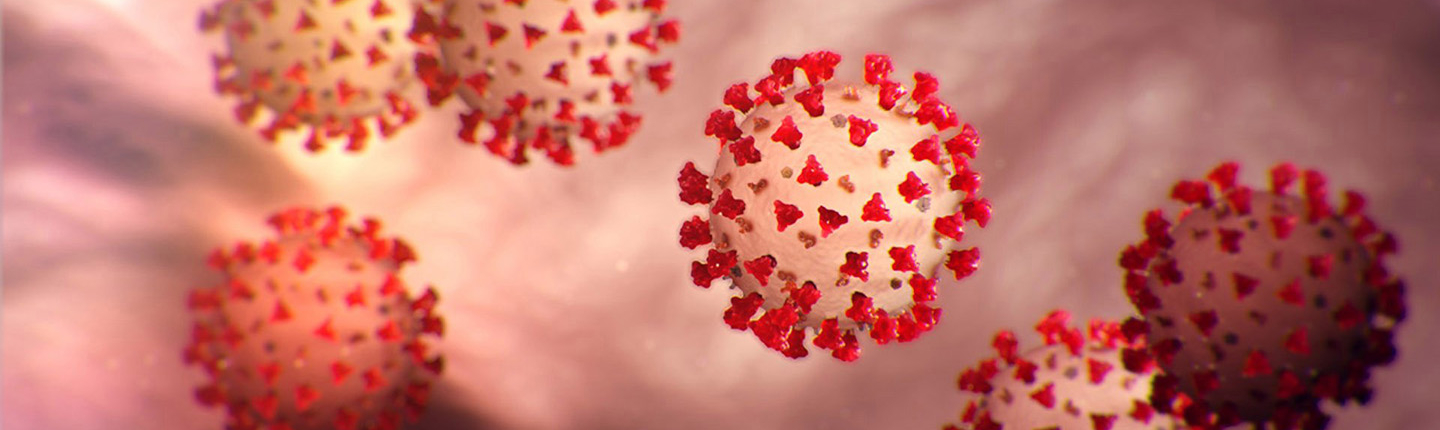 COVID-19 virus illustration
