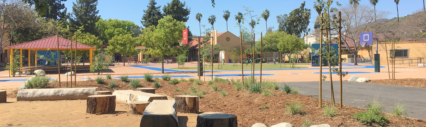A green playground increases physical activity among students.