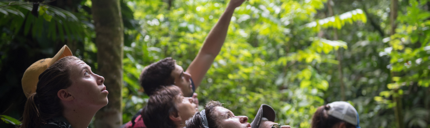 Occidental student researchers in Costa Rica.