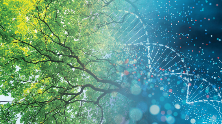 the underside of a large tree merging into an image of a DNA double helix, illustrating the biology department at Occidental College (Oxy).