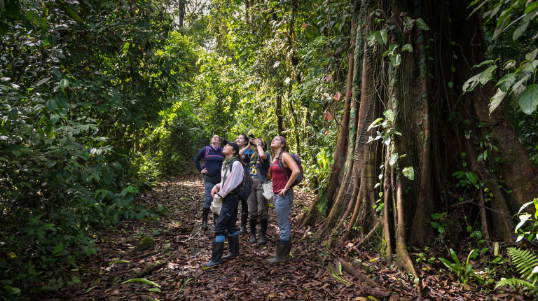 Occidental College students standing together in the jungle of Costa Rica, surveying the lush environment