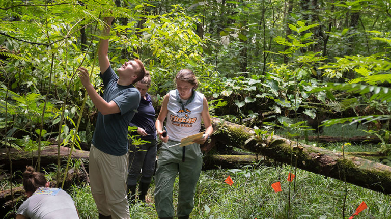 Oxy students gathering research data in the jungle