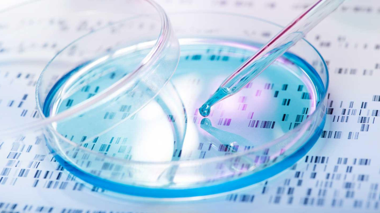 A pipette emptying a drop of solution into a petri dish, representing the biochemistry department at Occidental College (Oxy).