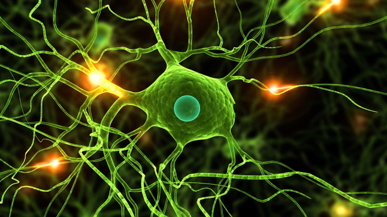 visualization of a biological neuron, a fundamental nerve cell in the brain