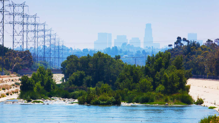 a lush, green section of the Los Angeles River with the downtown Los Angeles skyline visible in the hazy background