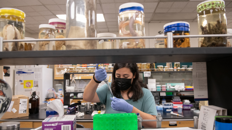 Occidental Receives Grant for National Collaboration To Promote Inclusive Excellence in STEM