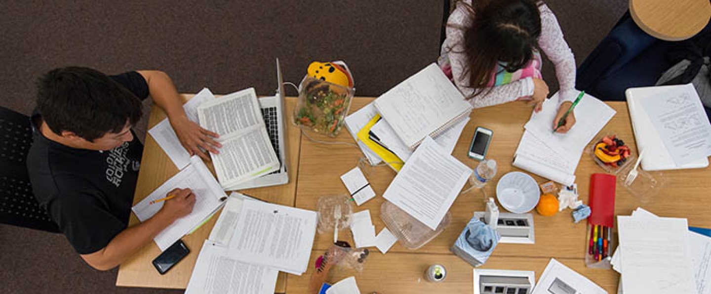 Students studying for finals