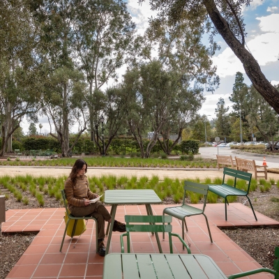 Oxy Homepage
