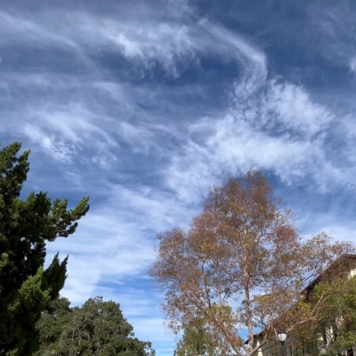 Oxy Homepage