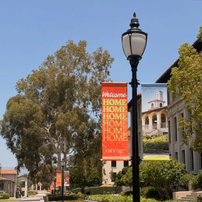 Oxy Homepage