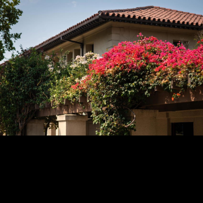 Oxy Homepage