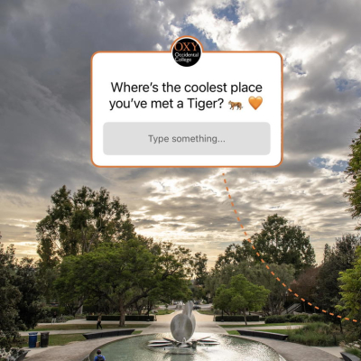 Oxy Homepage