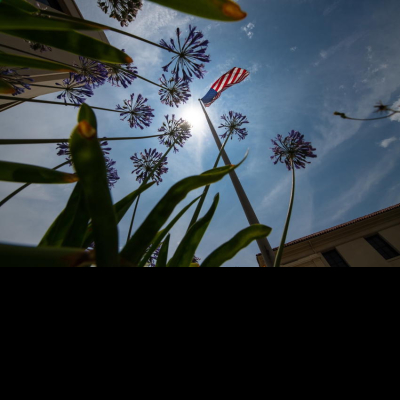 Oxy Homepage