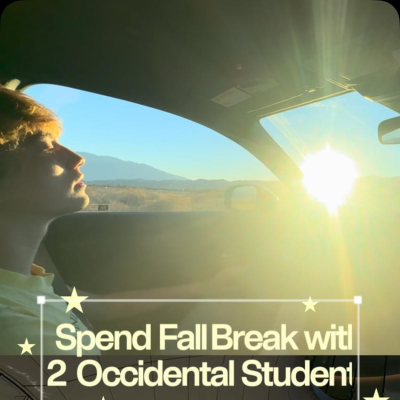 Oxy Homepage