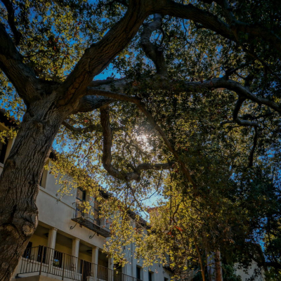 Oxy Homepage